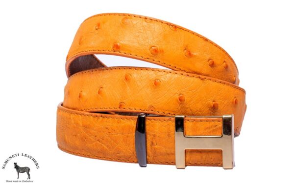 Ostrich fancy buckle